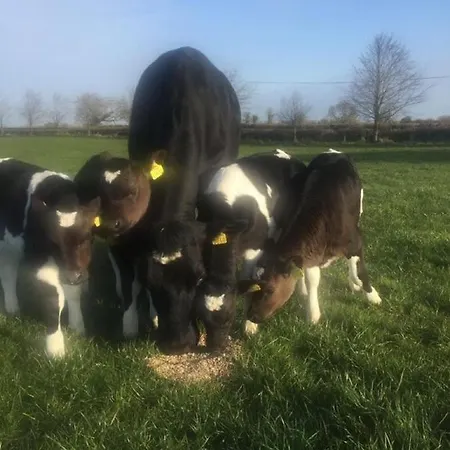 The Granary, Luxuriously Restored Barn On A Farm *