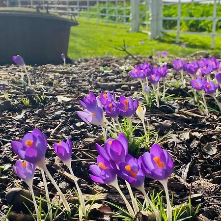 The Granary, Luxuriously Restored Barn On A Farm Hébergement de vacances *