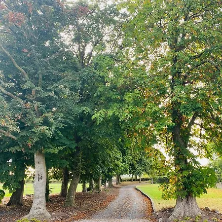 The Granary, Luxuriously Restored Barn On A Farm Hébergement de vacances Thurles