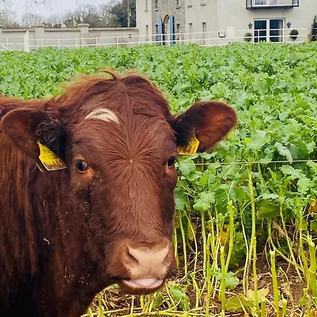 Hébergement de vacances The Granary, Luxuriously Restored Barn On A Farm