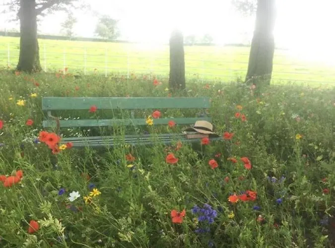 Ferienhaus The Granary, Luxuriously Restored Barn On A Farm