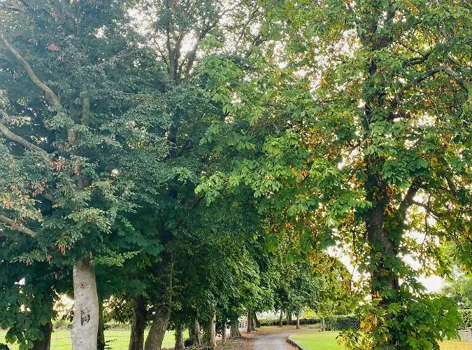 The Granary, Luxuriously Restored Barn On A Farm Ferienhaus Thurles